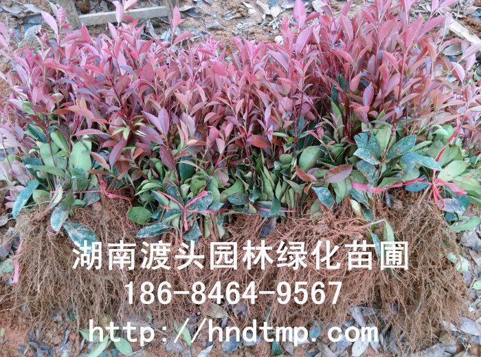 img_20140407_114658.jpg