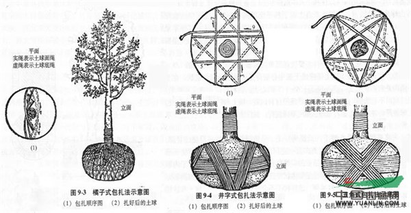 图片12.png
