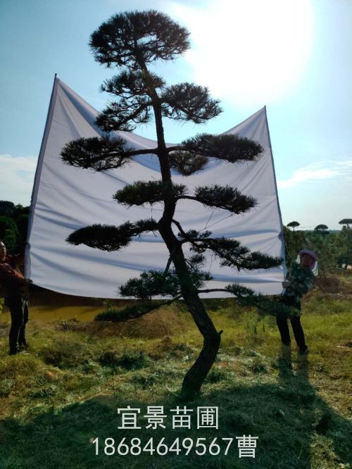 微信图片_20201106090434.jpg