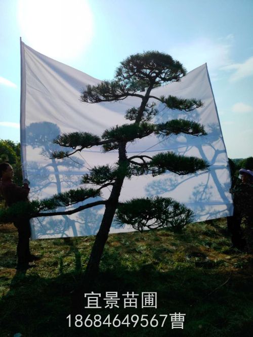 微信图片_20201106090354.jpg