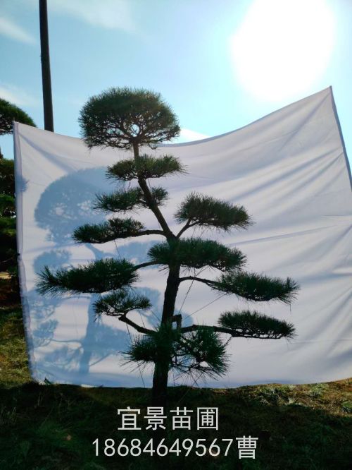 微信图片_20201106090406.jpg