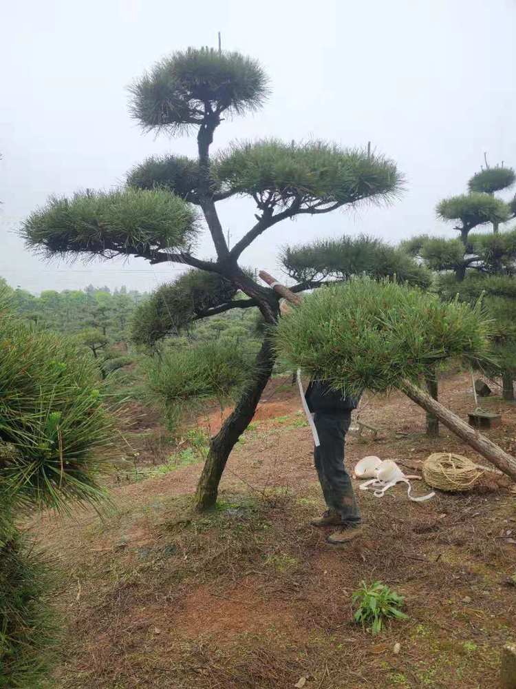 微信图片_20210505214020.jpg