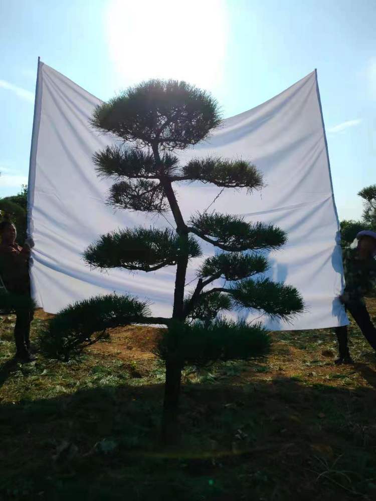 微信图片_20210429211407.jpg